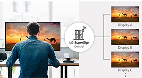 LG UHD TV Signage 50UR640S